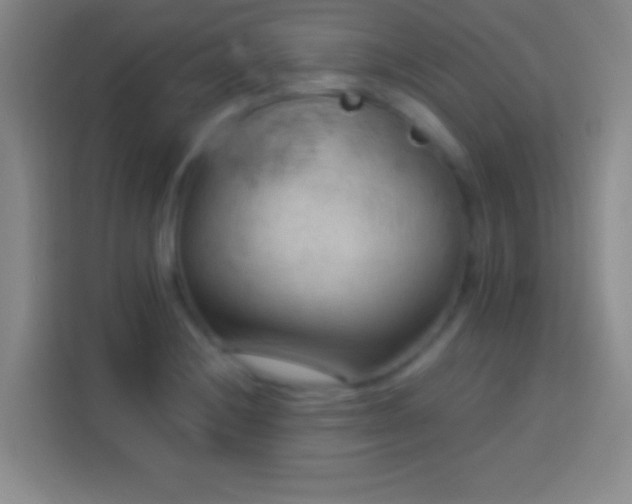 X0000113901228200910011336