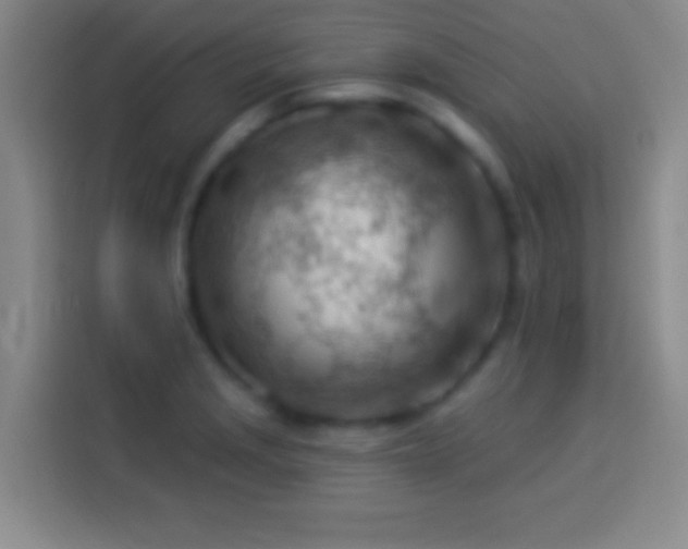 X0000113901229200910011336