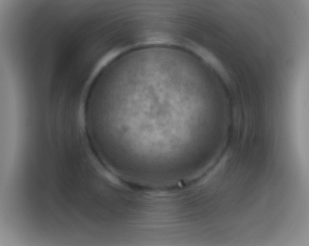 X0000113901230200910011336