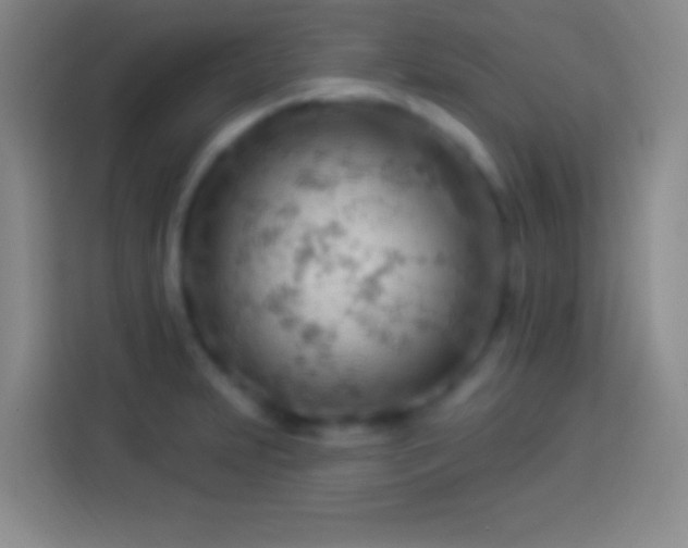 X0000113901231200910011336