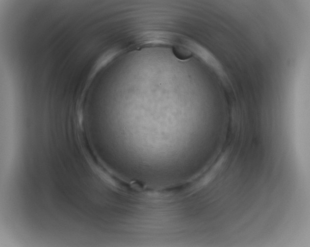 X0000113901234200910011336