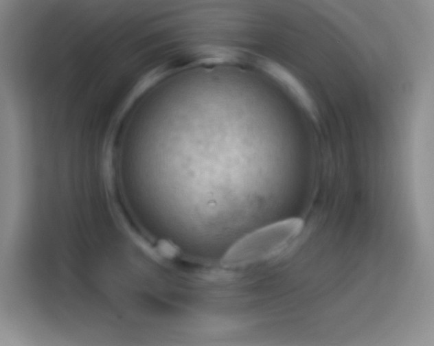 X0000113901235200910011336