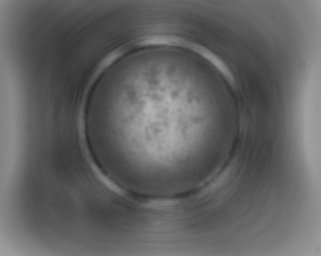 X0000113901237200910011336