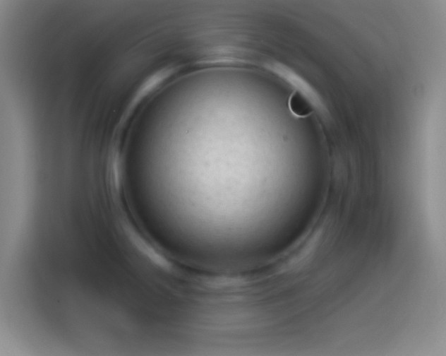 X0000113901238200910011336