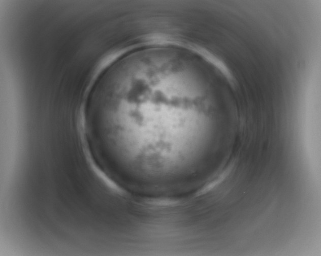 X0000113901239200910011336