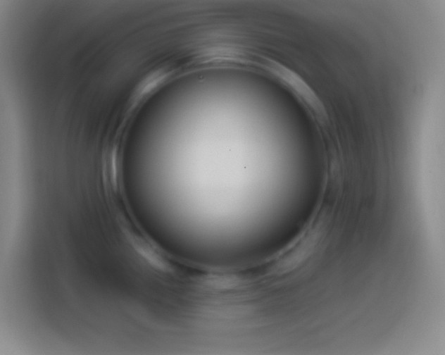 X0000113901242200910011336