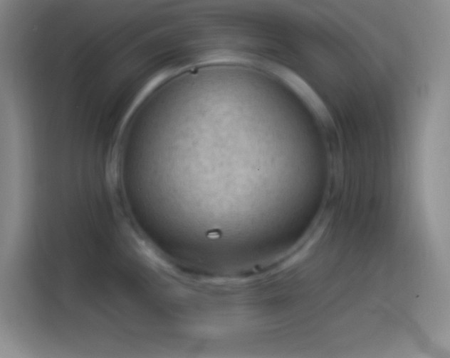 X0000113901244200910011336