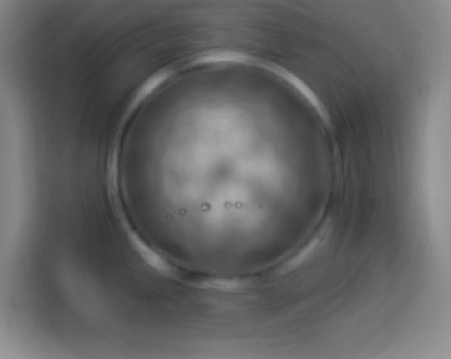 X0000113901245200910011336