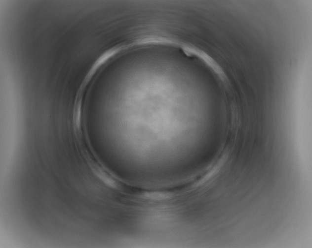 X0000113901246200910011336