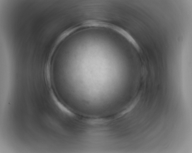 X0000113901247200910011336