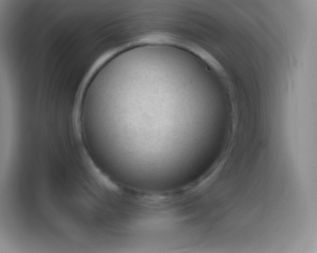 X0000113901248200910011336