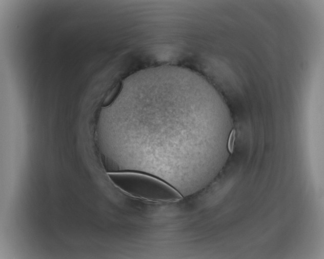 X0000113901249200910011336