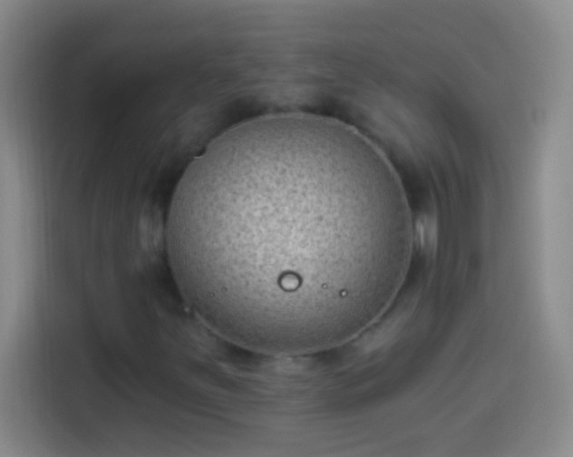 X0000113901251200910011335