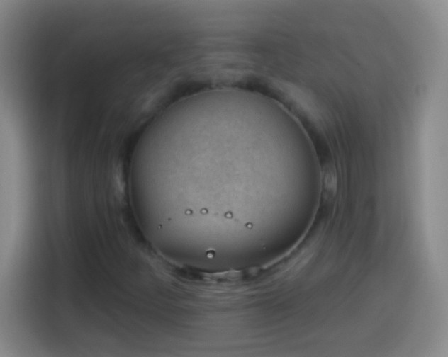 X0000113901252200910011335