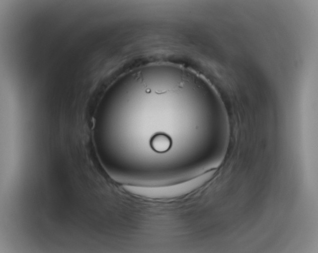 X0000113901253200910011335