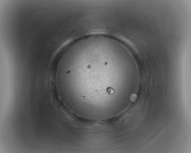 X0000113901255200910011335