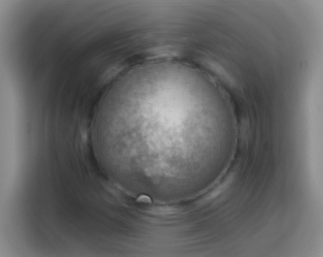 X0000113901257200910011335