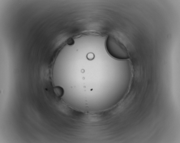 X0000113901258200910011335