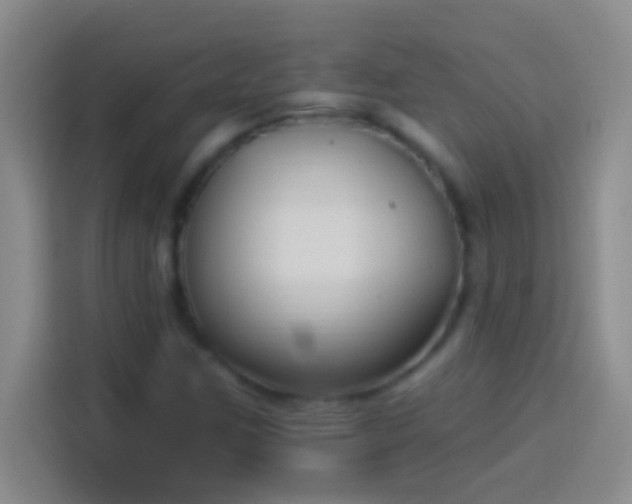 X0000113901259200910011335