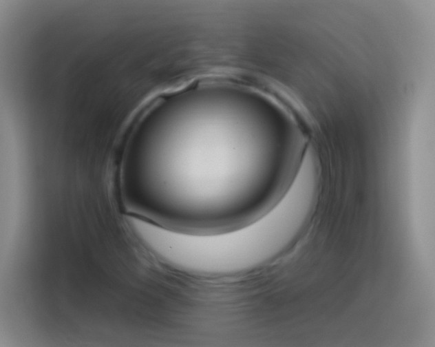 X0000113901260200910011335