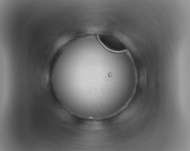 X0000113901261200910011335