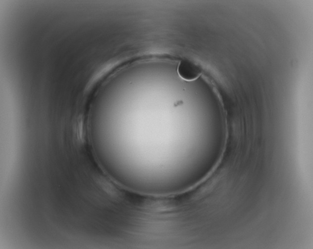 X0000113901262200910011335