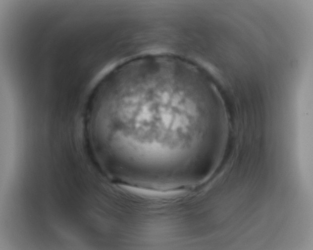 X0000113901263200910011335