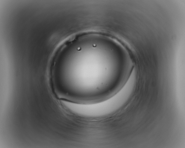 X0000113901264200910011335