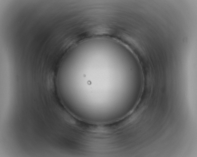 X0000113901265200910011335