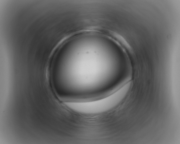 X0000113901268200910011335