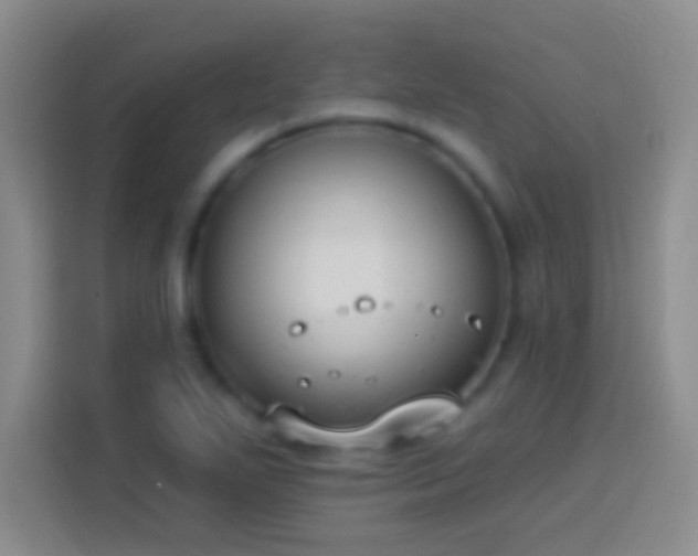 X0000113901271200910011335