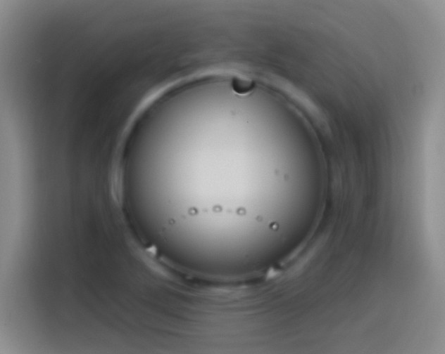 X0000113901272200910011335