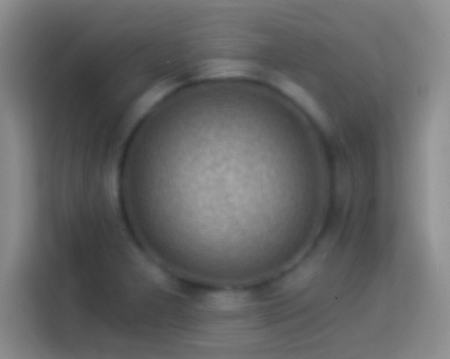 X0000113901277200910011335