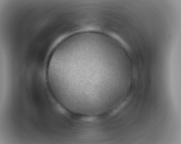 X0000113901278200910011335