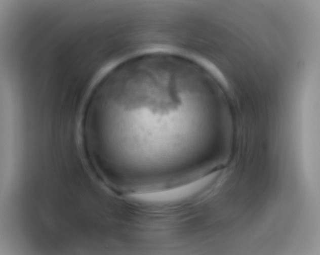 X0000113901279200910011335