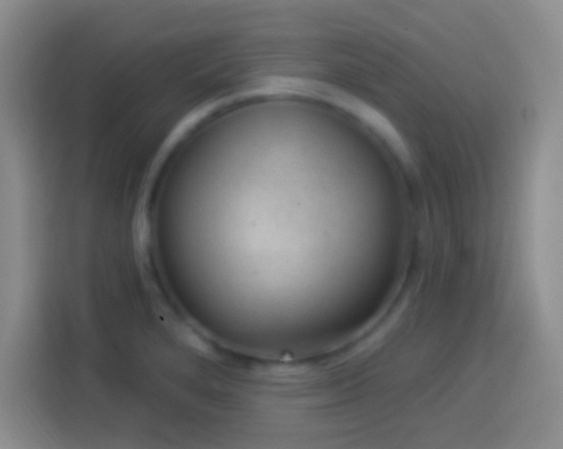 X0000113901280200910011335