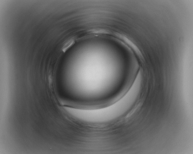 X0000113901281200910011335