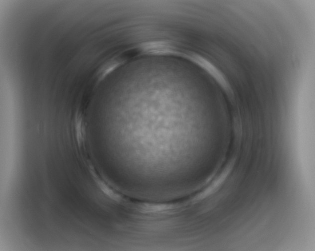 X0000113901289200910011335