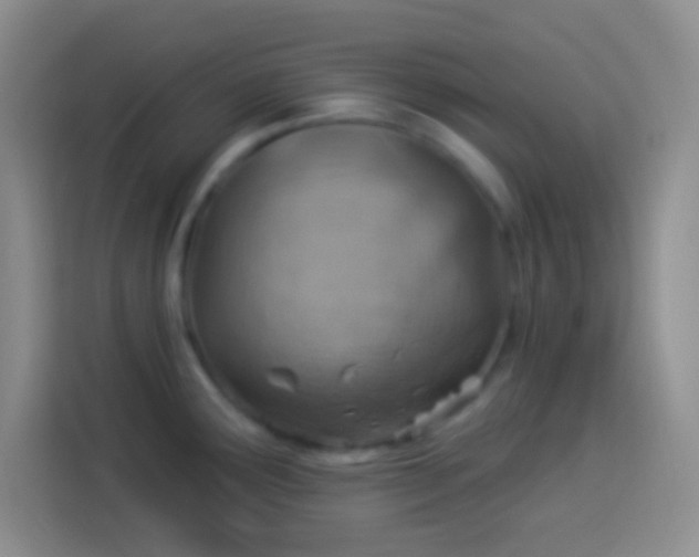 X0000113901291200910011335