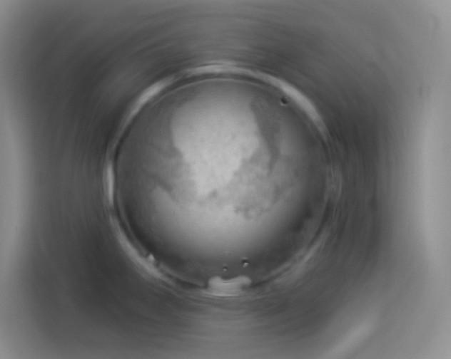 X0000113901295200910011335