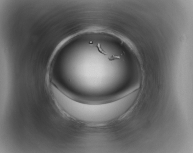 X0000113901296200910011335