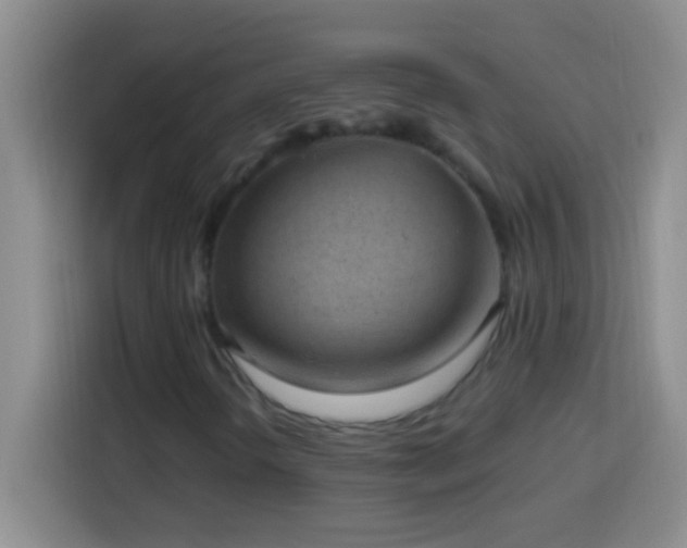 X0000113901298200910011334