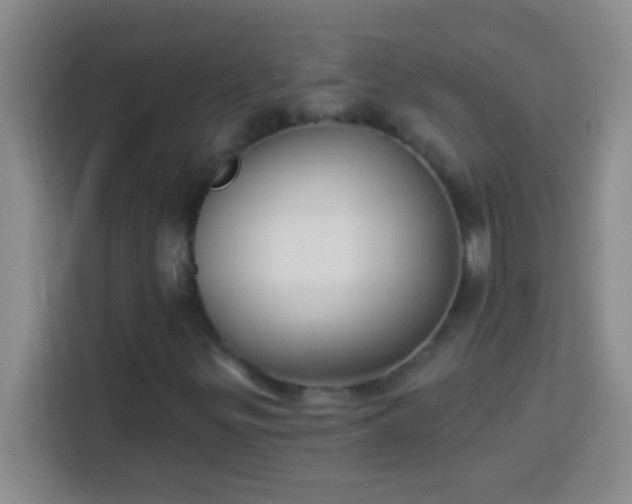 X0000113901299200910011334