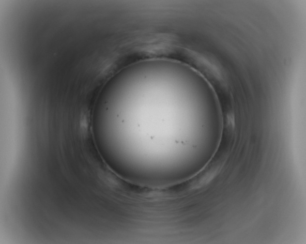 X0000113901300200910011334