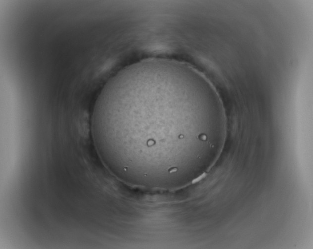 X0000113901301200910011334