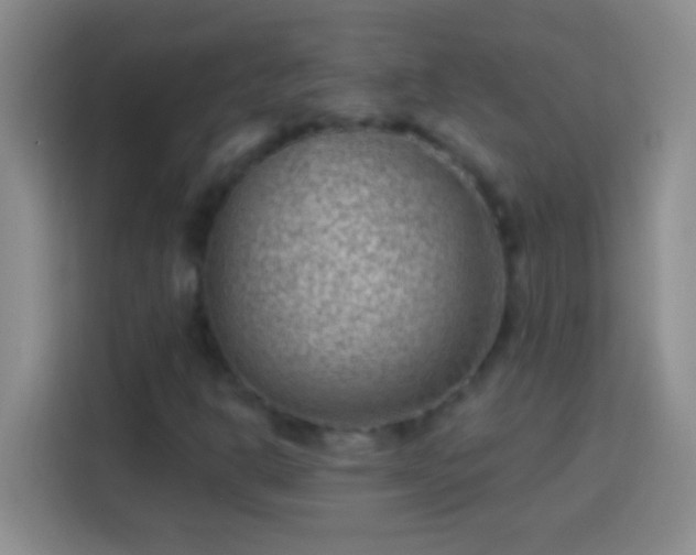 X0000113901302200910011334