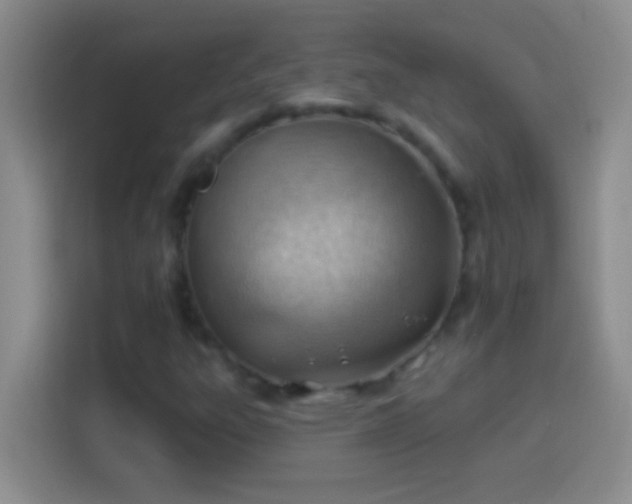 X0000113901303200910011334