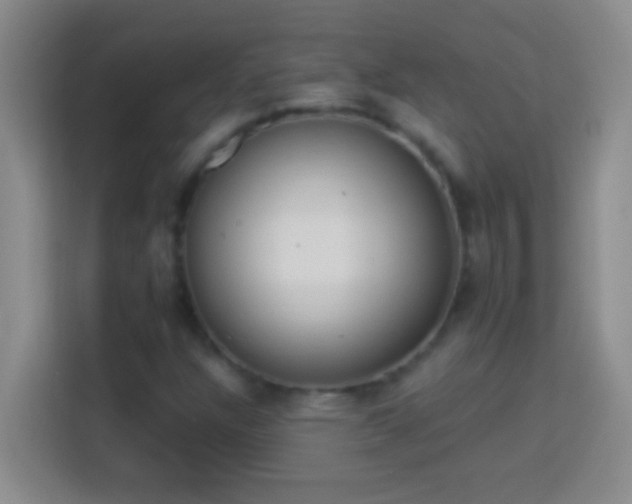 X0000113901304200910011334