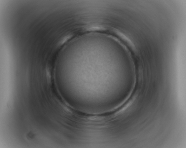 X0000113901305200910011334