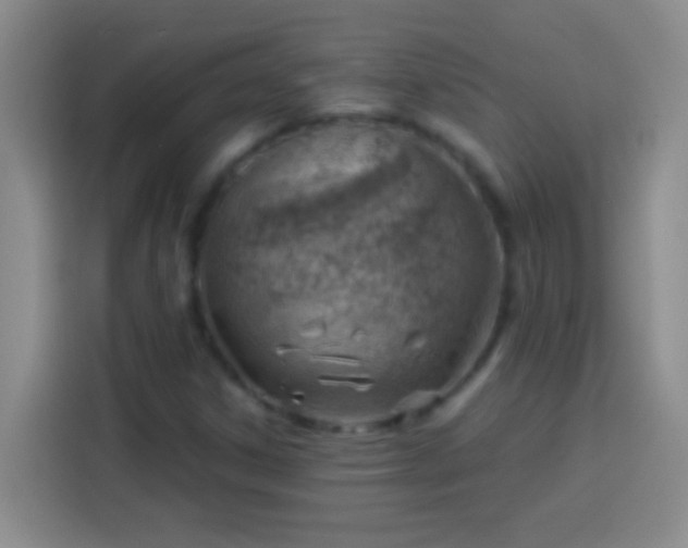 X0000113901306200910011334